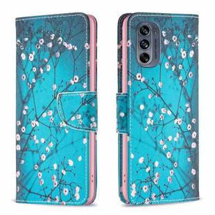 For Motorola Moto G62 Colored Drawing Pattern Leather Phone Case(Plum Blossom)