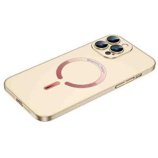 For iPhone 13 Pro Max Cool Series Magsafe Magnetic Frosted PC Phone Case (Champagne Gold)