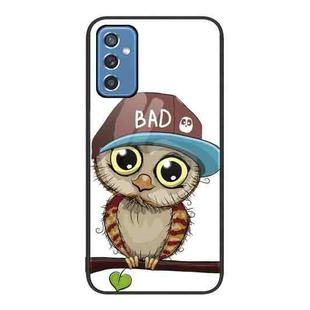 For Samsung Galaxy M52 5G Colorful Painted Glass Phone Case(Owl)