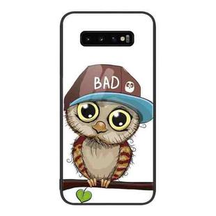For Samsung Galaxy S10+ Colorful Painted Glass Phone Case(Owl)