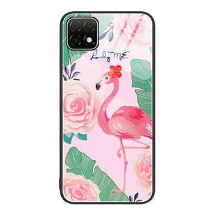 For Huawei Enjoy 20 5G Colorful Painted Glass Phone Case(Flamingo)