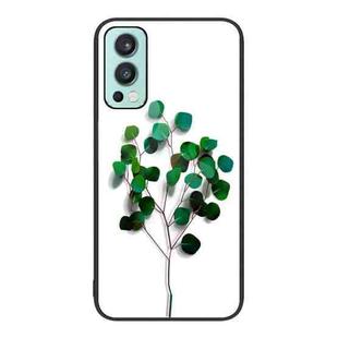 For OnePlus Nord 2 5G Colorful Painted Glass Phone Case(Sapling)