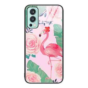 For OnePlus Nord 2 5G Colorful Painted Glass Phone Case(Flamingo)