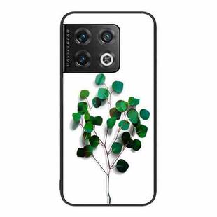 For OnePlus 10 Pro Colorful Painted Glass Phone Case(Sapling)