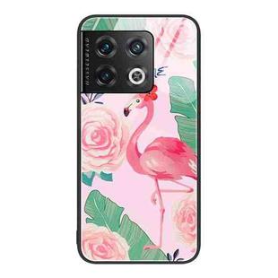 For OnePlus 10 Pro Colorful Painted Glass Phone Case(Flamingo)