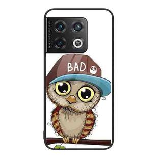 For OnePlus 10 Pro Colorful Painted Glass Phone Case(Owl)