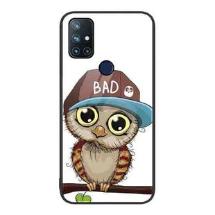 For OnePlus Nord N10 5G Colorful Painted Glass Phone Case(Owl)