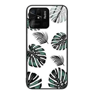 For Xiaomi Redmi 10C Colorful Painted Glass Phone Case(Banana Leaf)