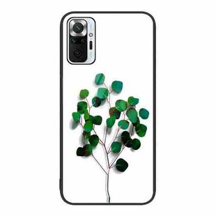 For Xiaomi Redmi Note 10 Pro 4G Colorful Painted Glass Phone Case(Sapling)