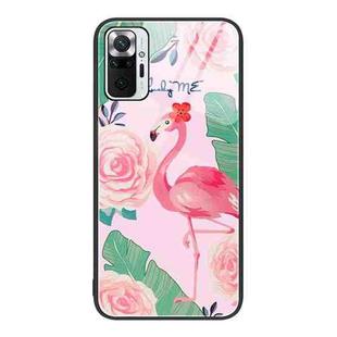 For Xiaomi Redmi Note 10 Pro 4G Colorful Painted Glass Phone Case(Flamingo)