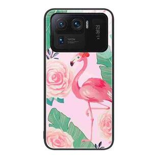 For Xiaomi Mi 11 Ultra Colorful Painted Glass Phone Case(Flamingo)