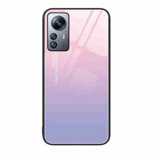 For Xiaomi 12 Pro Colorful Painted Glass Phone Case(Purple Sky)