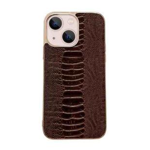 For iPhone 14 Genuine Leather Pinshang Series Nano Electroplating Phone Case (Coffee)