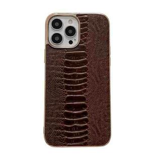 For iPhone 14 Pro Genuine Leather Pinshang Series Nano Electroplating Phone Case(Coffee)