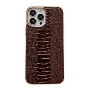 For iPhone 14 Pro Max Genuine Leather Pinshang Series Nano Electroplating Phone Case (Coffee)