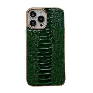 For iPhone 14 Pro Max Genuine Leather Pinshang Series Nano Electroplating Phone Case (Green)