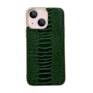 For iPhone 13 Genuine Leather Pinshang Series Nano Electroplating Phone Case(Green)