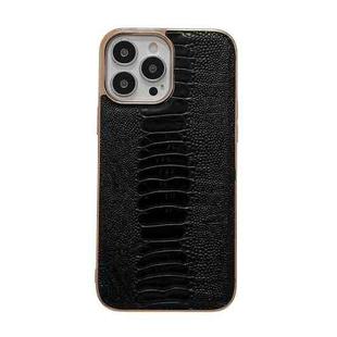 For iPhone 13 Pro Genuine Leather Pinshang Series Nano Electroplating Phone Case (Black)