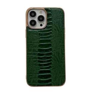 For iPhone 13 Pro Genuine Leather Pinshang Series Nano Electroplating Phone Case (Green)