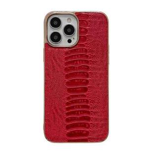 For iPhone 13 Pro Max Genuine Leather Pinshang Series Nano Electroplating Phone Case (Red)