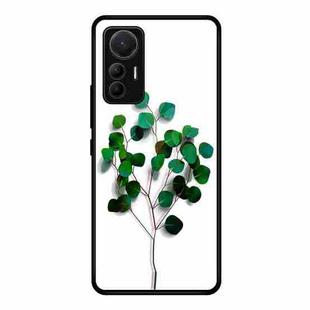 For Xiaomi 12 Lite Colorful Painted Glass Phone Case(Sapling)