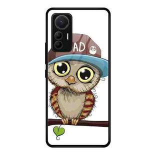 For Xiaomi 12 Lite Colorful Painted Glass Phone Case(Owl)