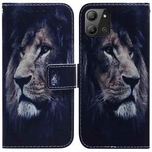 For Infinix Hot 11 2022 Coloured Drawing Leather Phone Case(Lion)