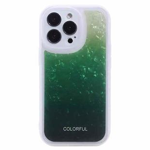 For iPhone 12 Shell Texture Gradient Phone Case(Green)
