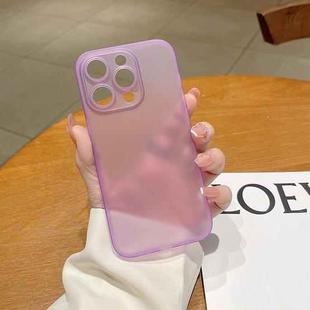 For iPhone 14 Frosted PP Phone Case (Purple)