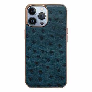 For iPhone 14 Pro Max Genuine Leather Ostrich Texture Nano Case (Blue)