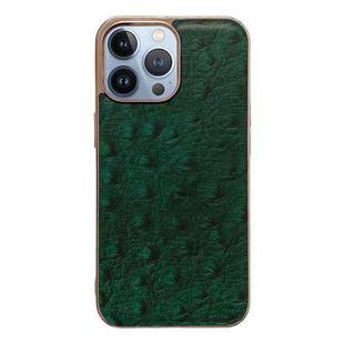 For iPhone 14 Pro Max Genuine Leather Ostrich Texture Nano Case (Green)