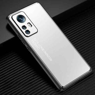 For Xiaomi 12/12S/12X Light and Shadow Series Frosted Metal Phone Case(Silver)