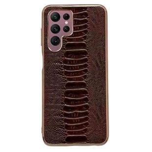 For Samsung Galaxy S22 Ultra 5G Genuine Leather Weilai Series Nano Electroplating Phone Case(Brown)