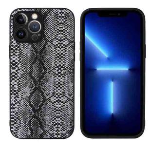 For iPhone 13 Pro Max Leather Back Phone Case (Snakeskin Print)
