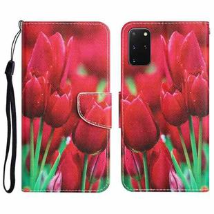 For Samsung Galaxy S20+ Colored Drawing Leather Phone Case(Tulips)