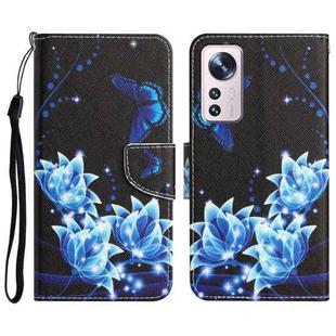 For Xiaomi 12 Lite Colored Drawing Leather Phone Case(Blue Butterfly)