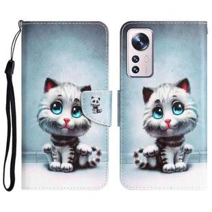 For Xiaomi 12 Lite Colored Drawing Leather Phone Case(Blue Eyes)