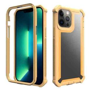 For iPhone 13 Pro Max Shockproof Space Phone Case (Gold)