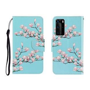 For Huawei P40 Pro Colored Drawing Horizontal Flip Leather Case with Holder & Card Slot & Wallet(Magnolia)