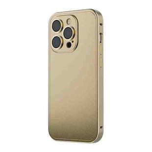 Integrated Metal Frosted Phone Case For iPhone 14(Gold)