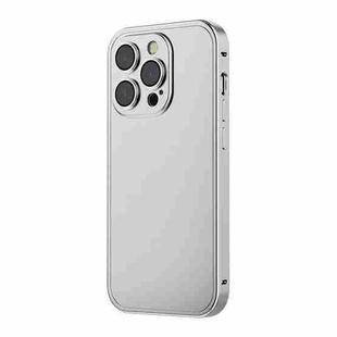 For iPhone 14 Pro Max Integrated Metal Frosted Phone Case (Silver)