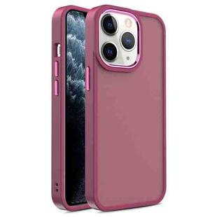 For iPhone 11 Pro Max Shield Skin Feel PC + TPU Phone Case (Red)