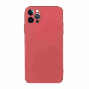 For iPhone 14 Pro Straight Edge Solid Color TPU Shockproof Phone Case(Hawthorn Red)