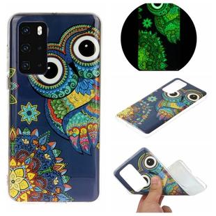 For Huawei P40 Luminous TPU Mobile Phone Protective Case(Blue Owl)