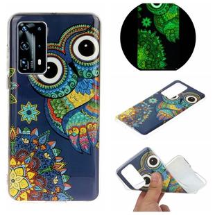 For Huawei P40 Plus Luminous TPU Mobile Phone Protective Case(Blue Owl)