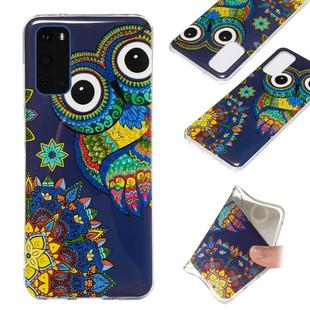 For Galaxy S20 Luminous TPU Mobile Phone Protective Case(Blue Owl)