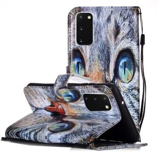 For Galaxy S20 Painted Pattern Horizontal Flip Leather Case with Holder & Card Slots & Wallet(Blue Cat)