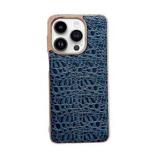 For iPhone 14 Pro Sky Series Nano Electroplating Genuine Leather Phone Case(Blue)