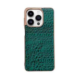 For iPhone 13 Pro Max Sky Series Nano Electroplating Genuine Leather Phone Case(Green)