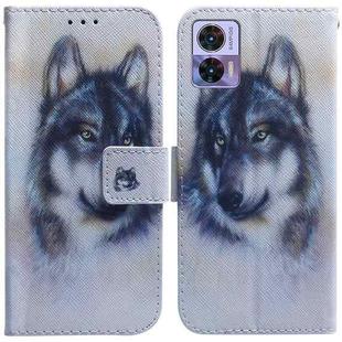 For Motorola Edge 30 Neo / Edge 30 Lite Coloured Drawing Leather Phone Case(White Wolf)